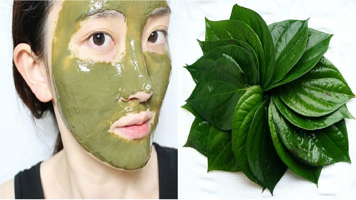 Nguy cơ hỏng da với cách điều trị nám vùng má từ lá trầu không, chưa chắc "thần thánh" như lời đồn 4 cach-dieu-tri-nam-vung-ma-tu-la-trau-khong1